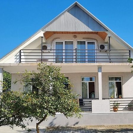 David Dali House Ξενοδοχείο Μπατούμι Εξωτερικό φωτογραφία